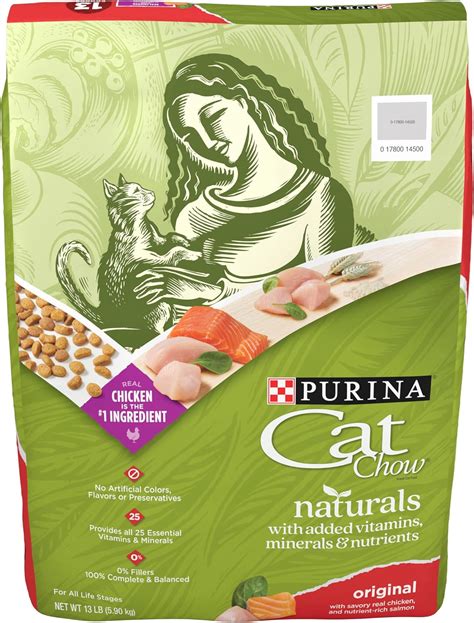 chewy canned cat food|vet recommended cat food for indoor cats.